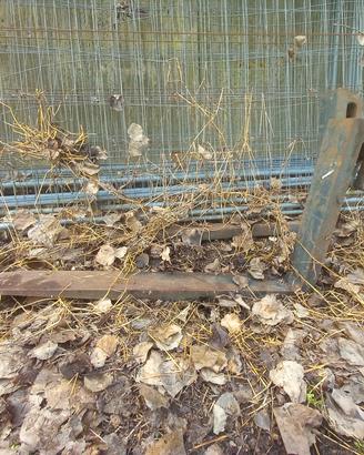 Forche per pallet
