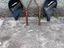 Immagine 3