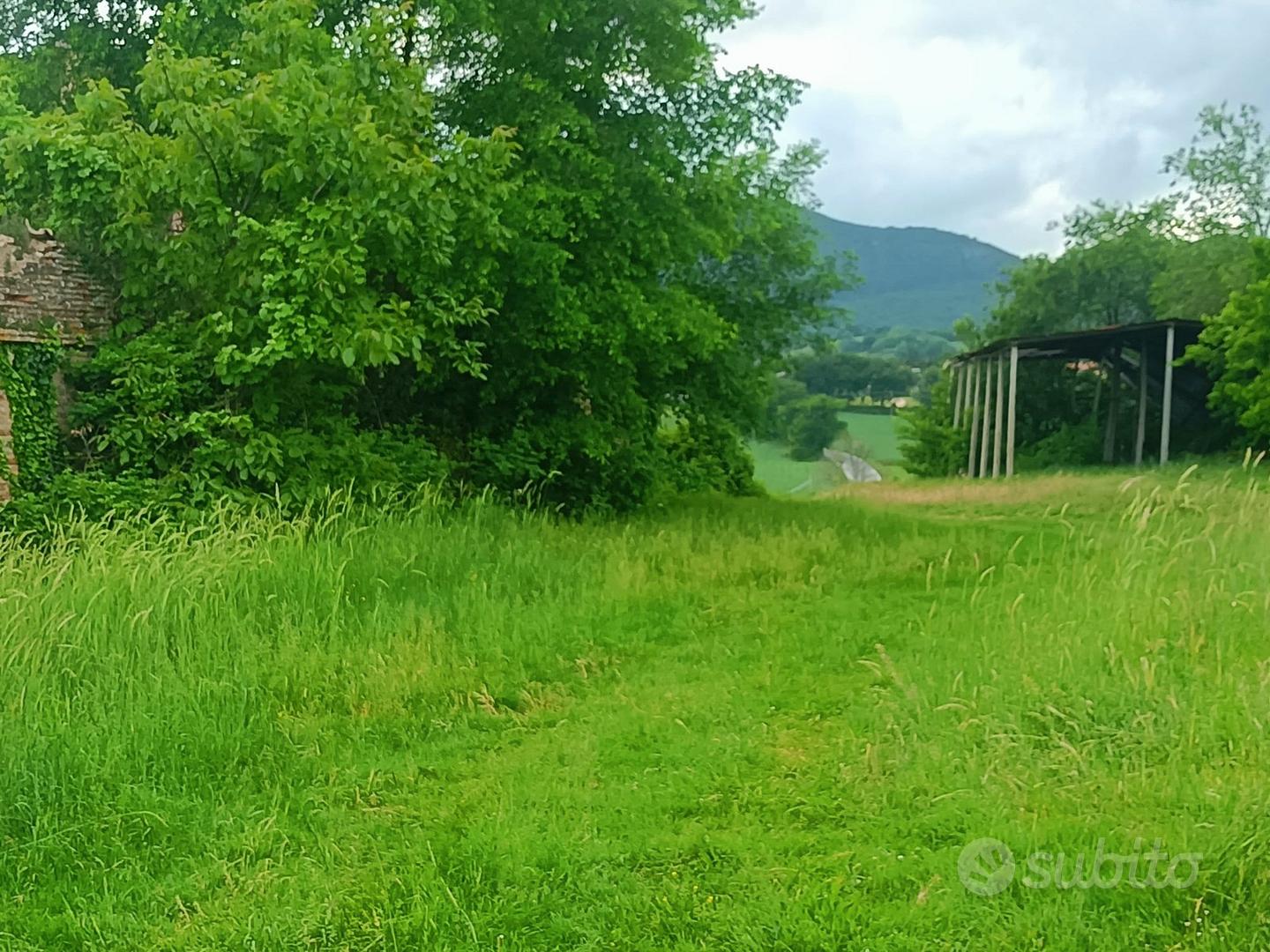 Terreno Agricolo a Treia - Altro