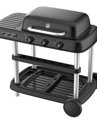 barbecue a gas mai usato 