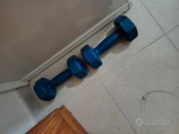 pesi da 6 kg 