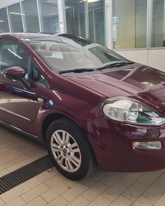 Fiat Punto 1.4 8V S&S 5 porte Van Pop 4 posti PREZ