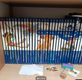 la mia prima biblioteca disney 