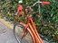 Immagine 5