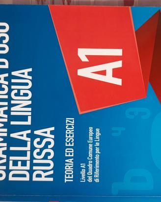 Grammatica d'uso della lingua russa
