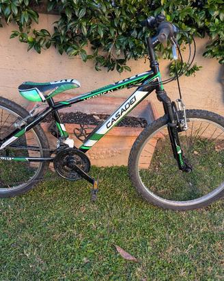  MTB Casadei