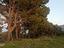 Immagine 6