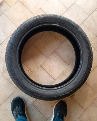 gomme invernali 