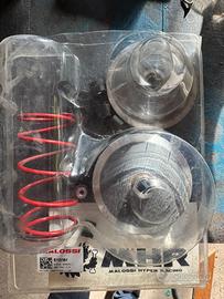Kit Variatore malossi multivar mhr