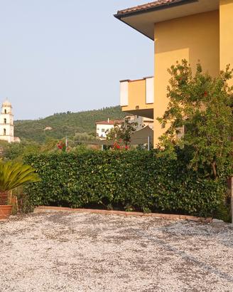 Alloggio 