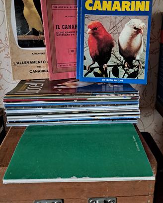 Libri riviste su gli uccelli 