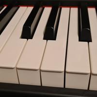 Yamaha Digital piano P-95 tassi pesati