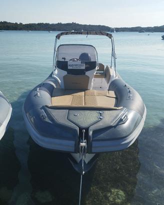 Salpa 20