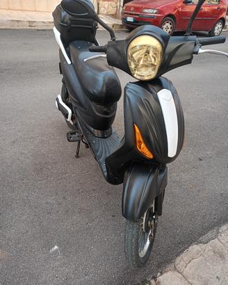 Bici elettrica 
