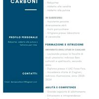 Babysitter, addetta alle pulizie e fattorino