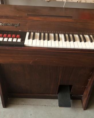 Organo Bontempi