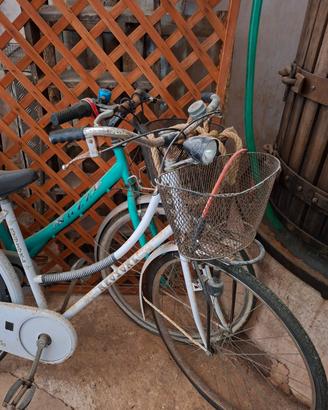 Biciclette da passeggio