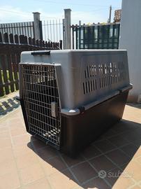 kennel cani taglia grande