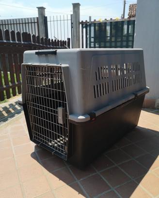 kennel cani taglia grande