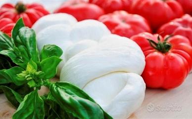 Cuoco - Casa di Riposo RSA Ristorazione Collettiva