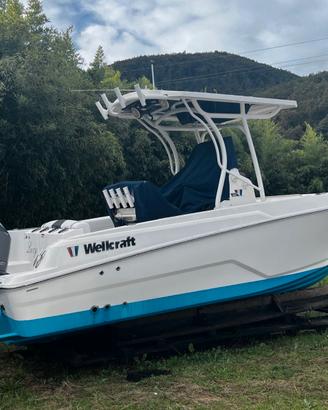 WELLCRAFT 222 + 225hp YAMAHA (2018)