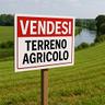 terreno-agricolo-di-circa-6-000-mq-gl