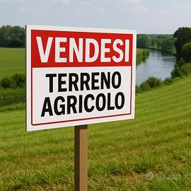 Terreno agricolo di circa 6.000 mq GL