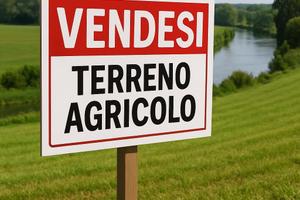 Terreno agricolo di circa 6.000 mq GL