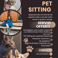 Pet sitting pensione notturna/Wedding Care