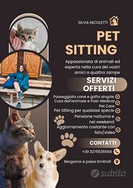 Pet sitting pensione notturna/Wedding Care