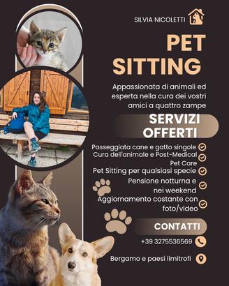 Pet sitting pensione notturna/Wedding Care