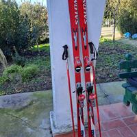 SCI SALOMON Equipe10 RC 184cm