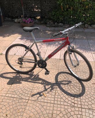 Mountain bike Dakota 4 marce