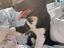 Immagine 4