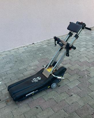 Montascale per disabili