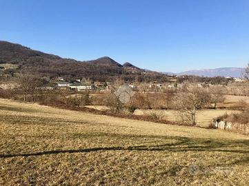 TER. AGRICOLO A ISOLA VICENTINA