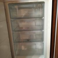 Freezer Electrolux 