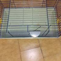 Gabbia per coniglio