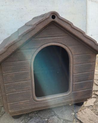 Cuccia per cane, portantina e guinzaglio usati