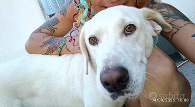 Casper