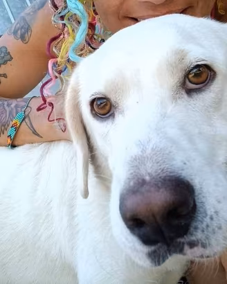 Casper