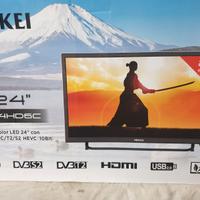 TV  NIKKEI NI24HD6C