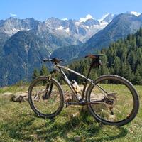 MTB - KTM