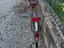 Immagine 3