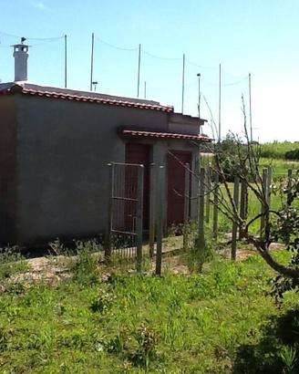 Terreno con magazzino