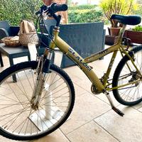 Bicicletta ragazzi MTB 26 Cambio Shimano