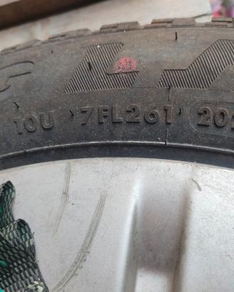 gomme 4 stagioni 205/55/r17