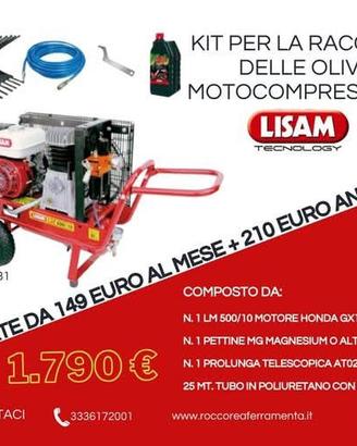 KIT RACCOLTA OLIVE LISAM LM031 500 LT BENZINA.