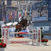 Cavallo Tedesco da salto