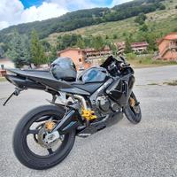 codone cbr rr 600 03/04
